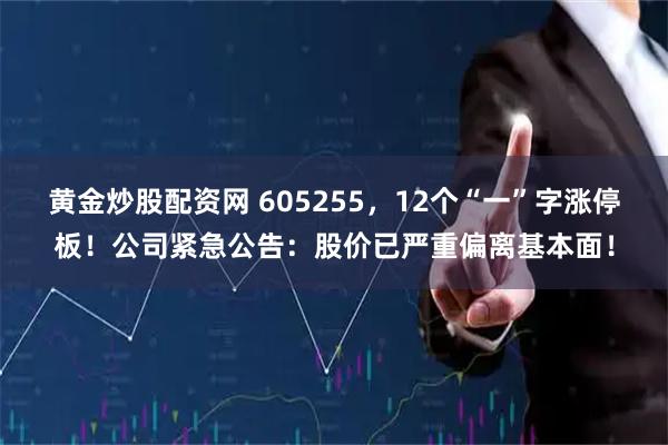 黄金炒股配资网 605255，12个“一”字涨停板！公司紧急公告：股价已严重偏离基本面！